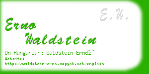 erno waldstein business card